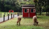 Recanto serrinha - Passeio rural em Joinville