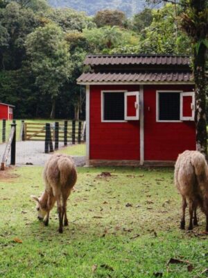 Recanto serrinha - Passeio rural em Joinville