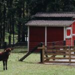 Imagens do Recanto Serrinha - Passeios rurais em Joinville - guia jlle SC 03 Imagens do Recanto Serrinha - Passeios rurais em Joinville - guia jlle SC 03