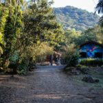 Imagens do Refúgio Shekinah - Passeios rurais em Joinville - guia jlle SC 16 Imagens do Refúgio Shekinah - Passeios rurais em Joinville - guia jlle SC 16