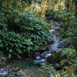 Imagens do Refúgio Shekinah - Passeios rurais em Joinville - guia jlle SC 19 Imagens do Refúgio Shekinah - Passeios rurais em Joinville - guia jlle SC 19