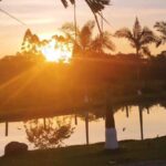 Imagens do Restaurante e Pesque e Pague Paranaguamirim - Passeios rurais em Joinville - guia jlle SC 0001-04