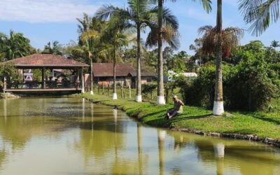 Pesque e Pague Paranaguamirim - pesque pague em Joinville