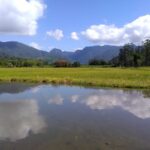 Imagens Hospedagem Rural Mews - Passeios rurais em Joinville - guia jlle SC 0001-03