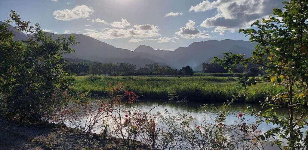 Hospedagem Rural Mews - Pousada no Rio Bonito, Joinville