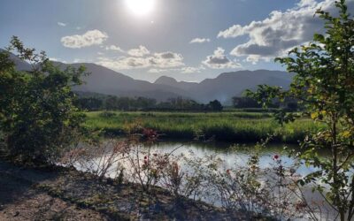 Hospedagem Rural Mews - Pousada no Rio Bonito, Joinville
