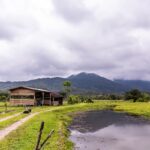 Imagens da Hospedagem Rural Mews - Passeios rurais em Joinville - guia jlle SC 09 Imagens da Hospedagem Rural Mews - Passeios rurais em Joinville - guia jlle SC 09