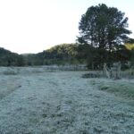 Imagens do Sítio Canela Preta - Passeios rurais em Joinville - guia jlle SC 0001-02