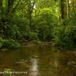 Imagens do Sítio Canela Preta - Passeios rurais em Joinville - guia jlle SC 0001-03