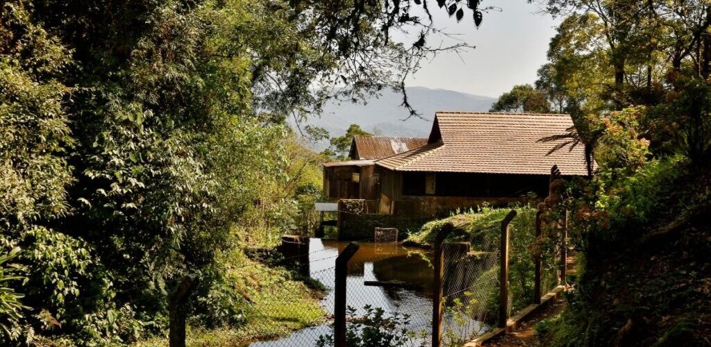 Sítio Canela Preta - Estrada Dona Francisca