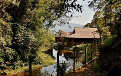 Sítio Canela Preta - Estrada Dona Francisca