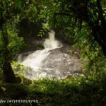 Imagens do Sítio Canela Preta - Passeios rurais em Joinville - guia jlle SC 04