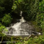Imagens do Sítio Canela Preta - Passeios rurais em Joinville - guia jlle SC 06