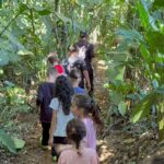 Imagens do Sítio Recanto Feliz - Passeios rurais em Joinville - guia jlle SC 02-05