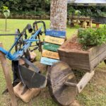 Imagens do Sítio Recanto Feliz - Passeios rurais em Joinville - guia jlle SC 07 Imagens do Sítio Recanto Feliz - Passeios rurais em Joinville - guia jlle SC 07