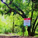 Imagens do Sítio Vó Bia - Passeios rurais em Joinville - guia jlle SC 06