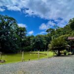 Imagens do Sítio Vó Bia - Passeios rurais em Joinville - guia jlle SC 12 Imagens do Sítio Vó Bia - Passeios rurais em Joinville - guia jlle SC 12