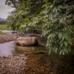 Imagens do Sítio das Águas Claras - Passeios rurais em Joinville - guia jlle SC 0000001-05