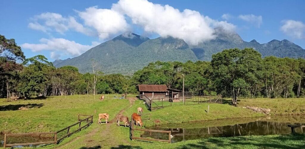Sítio das Águas Claras - Estrada Piraí Joinville