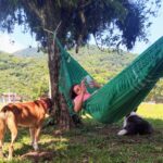 Imagens do Sítio das Águas Claras - Passeios rurais em Joinville - guia jlle SC 02 Imagens do Sítio das Águas Claras - Passeios rurais em Joinville - guia jlle SC 02