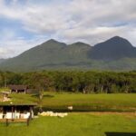 Imagens do Sítio das Águas Claras - Passeios rurais em Joinville - guia jlle SC 11 Imagens do Sítio das Águas Claras - Passeios rurais em Joinville - guia jlle SC 11