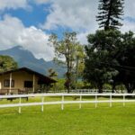 Imagens do Sítio das Águas Claras - Passeios rurais em Joinville - guia jlle SC Imagens do Sítio das Águas Claras - Passeios rurais em Joinville - guia jlle SC