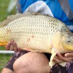 Imagens do Sítio do Brema - Passeios rurais em Joinville - guia jlle SC 016 Imagens do Sítio do Brema - Passeios rurais em Joinville - guia jlle SC 016