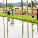 Imagens do Sítio do Brema - Passeios rurais em Joinville - guia jlle SC 06 Imagens do Sítio do Brema - Passeios rurais em Joinville - guia jlle SC 06