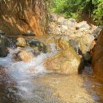 Imagens do Vale das Pitaias - Passeios rurais em Joinville - guia jlle SC 0001-03