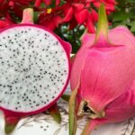 Imagens do Vale das Pitaias - Passeios rurais em Joinville - guia jlle SC 03