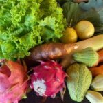 Imagens do Vale das Pitaias - Passeios rurais em Joinville - guia jlle SC 04