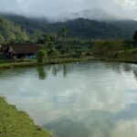 Imagens do Vale das Pitaias - Passeios rurais em Joinville - guia jlle SC 09 Imagens do Vale das Pitaias - Passeios rurais em Joinville - guia jlle SC 09