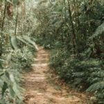 Imagens do Vale do Ouro Eco Club - Passeios rurais em Joinville - guia jlle SC 06